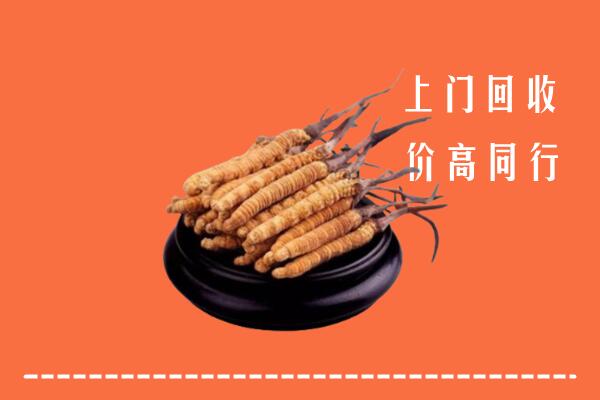 高价求购：重庆永川回收散虫草