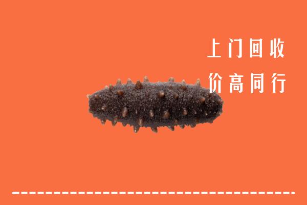 重庆永川回收海参