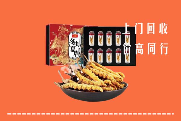 重庆永川回收虫草